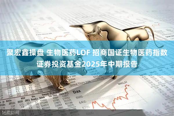 聚宏鑫操盘 生物医药LOF 招商国证生物医药指数证券投资基金2025年中期报告