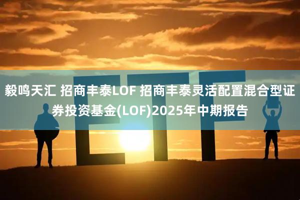 毅鸣天汇 招商丰泰LOF 招商丰泰灵活配置混合型证券投资基金(LOF)2025年中期报告