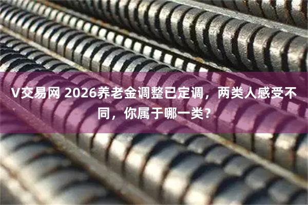 V交易网 2026养老金调整已定调,两类人感受不同,你属于哪一类?