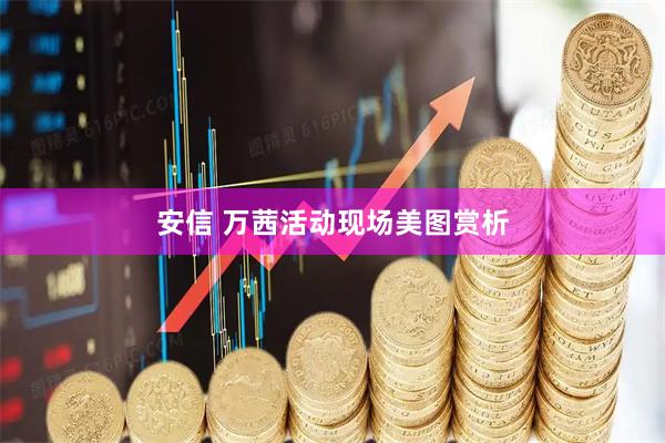 安信 万茜活动现场美图赏析